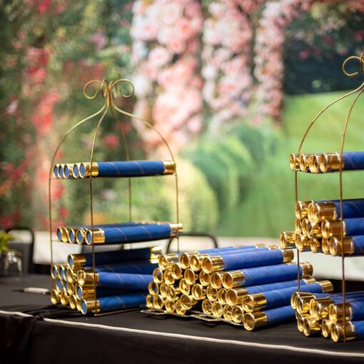 Event cover FORMANDOS E.M. JOSEFINA MACEDO GONTIJO