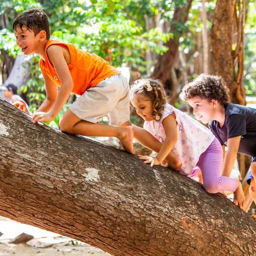 Event cover Parque das Dunas 15/11/25