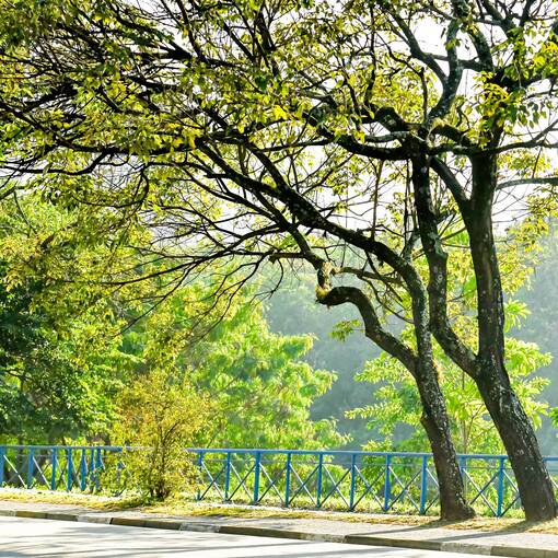 Event cover Marginal Dom Aguirre Sorocaba - DOMINGO