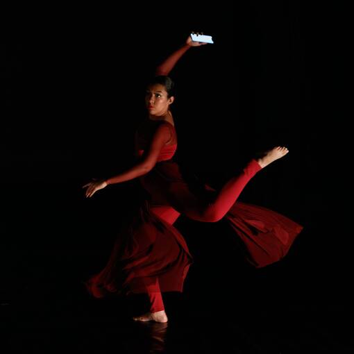 Event cover LUZ E SOMBRAS - CIA FULVIA GOULART