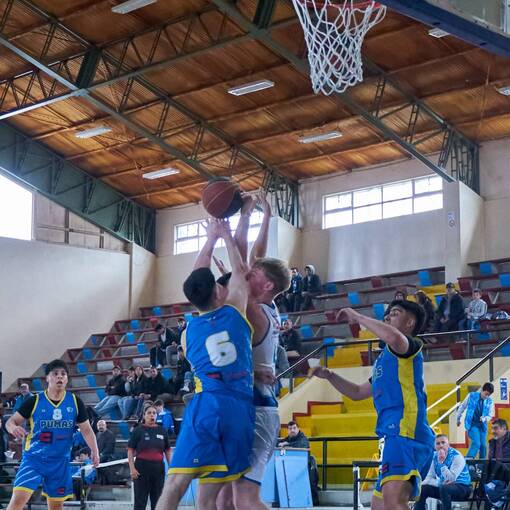 Portada del evento Encuentro  CD Puerto Varas  v/s Cd  Pumas