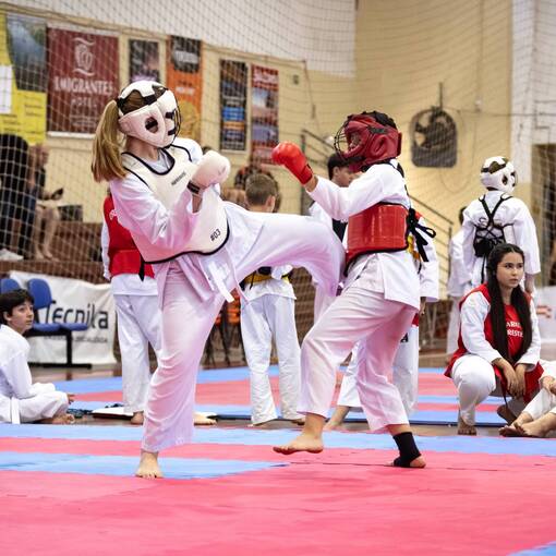 Capa do evento Santa Rosa/RS, Campeonato Estadual de Karat Interestilos 2025