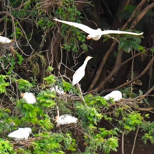 Event cover Pq Dom Quixote segunda feira manh� Sorocaba 