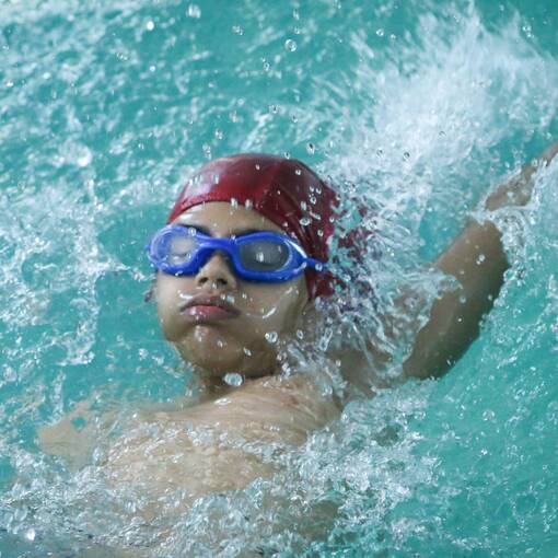 Copertura dell'evento Festival Hidrocoqueiral Interno de Nata��o