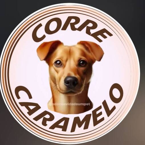 Event cover & Fotos e Vdeos - Meus Treinos  -  Corre Caramelo 