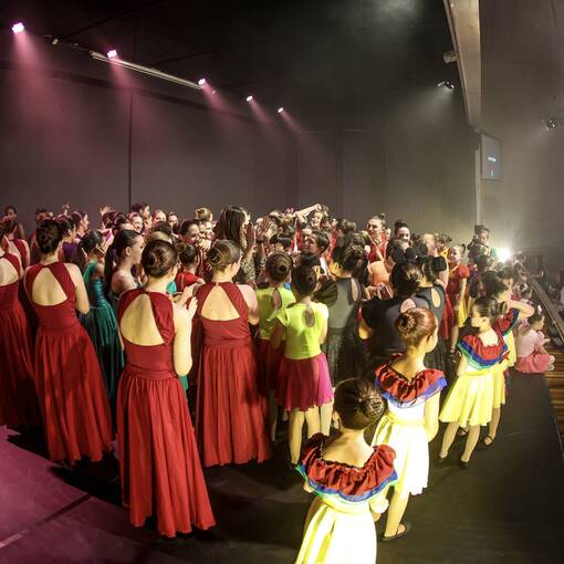 Event cover Festival Dan�a Rio Branco