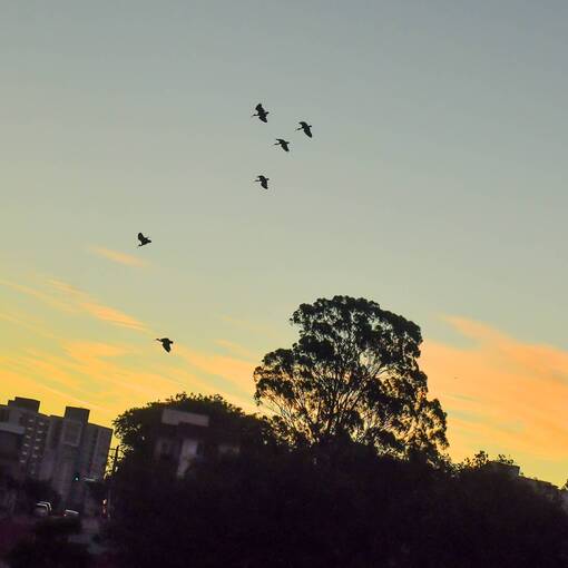 Event cover Pq Dom Quixote - noite - quarta feira - Sorocaba 