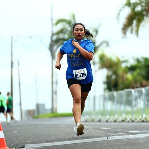 Event cover For Life Run Elements | 2025 