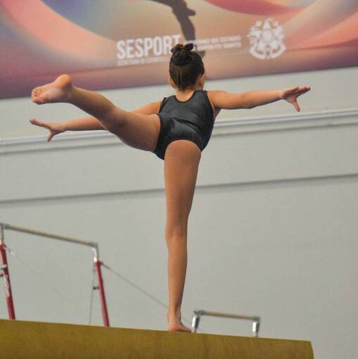 Event cover Campeonato Estadual Gin�stica Art�stica 