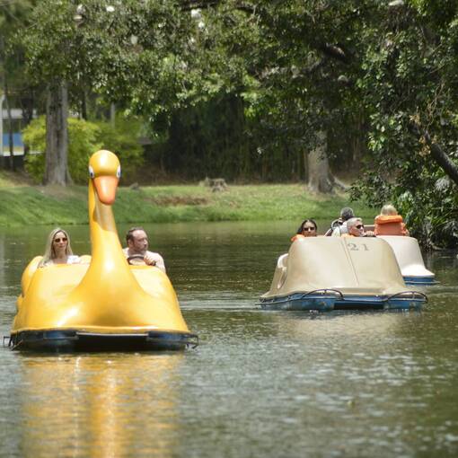 Event cover Parque das �guas - S�bado - 22/11/2025