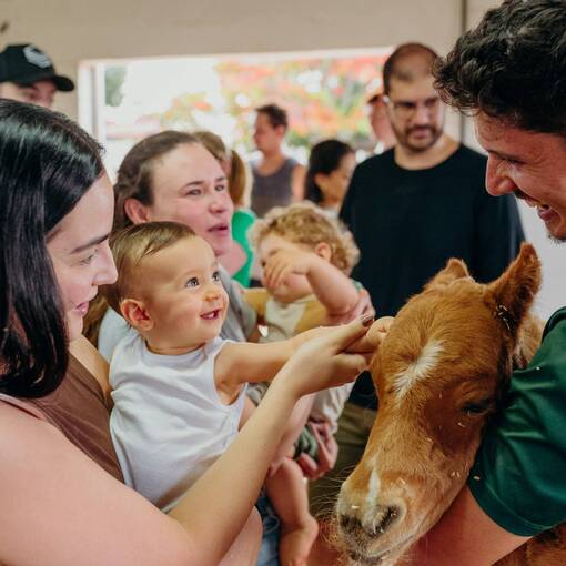 Event cover Criat�rio Pestana - 6� Edi��o M�os e Corpos em A��o