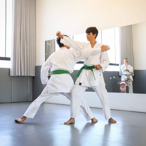 Capa do evento Exame de faixa - Welt