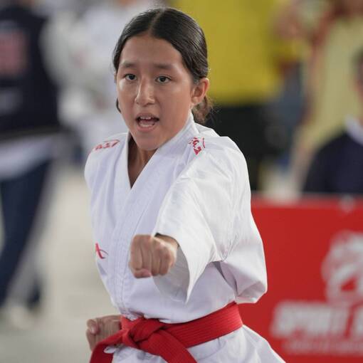 Event cover INTERESCOLAR DE KARATE-DO