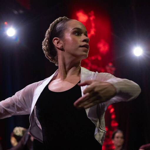 Event cover Festival Portas AVA 2025