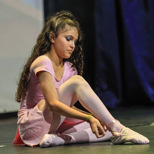 Event cover Festival de Dana - Objetivo Plenitude