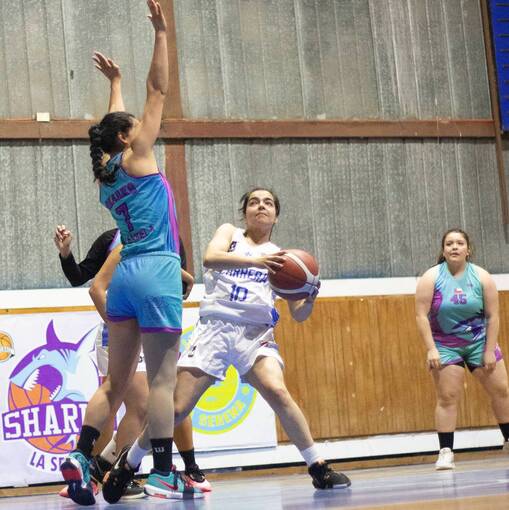 Event cover sharks vs carrera