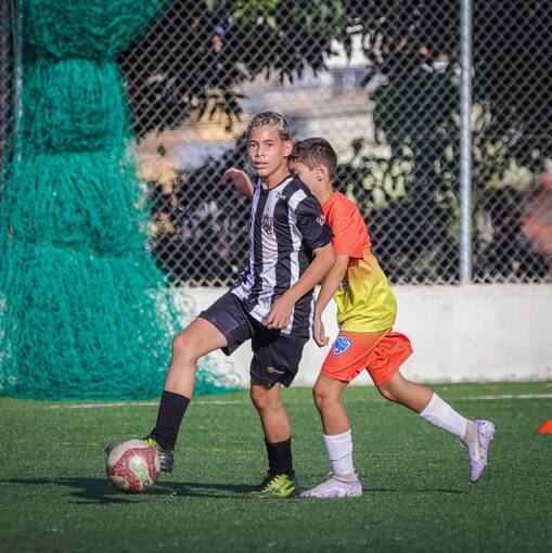 Event cover GALO X MERITUS 