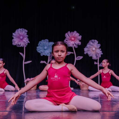 Capa do evento Espetculo Demi Plie 