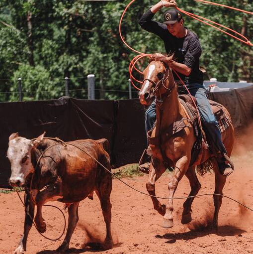 Couverture de l'vnement Team roping - Bolo Fazenda Sagrada Famlia