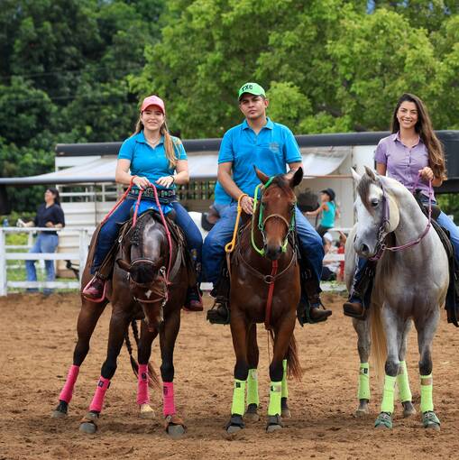 Event cover BOLO TRS TAMBORES