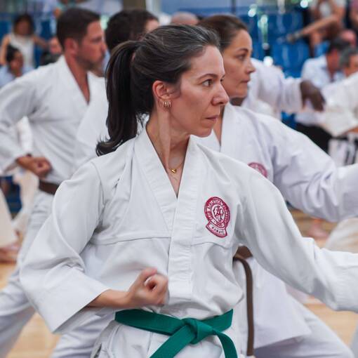 Capa do evento ENCONTRO - KARAT ESPERIA 50 ANOS