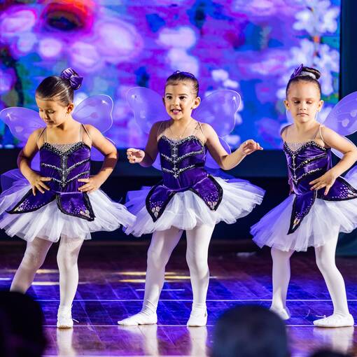 Event cover O JARDIM DAS EMO��ES-COMPASSOS ?