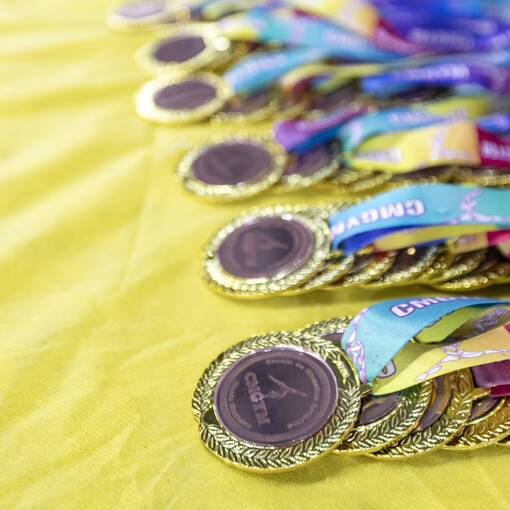 Event cover Festival de Vero Cleide Monteiro