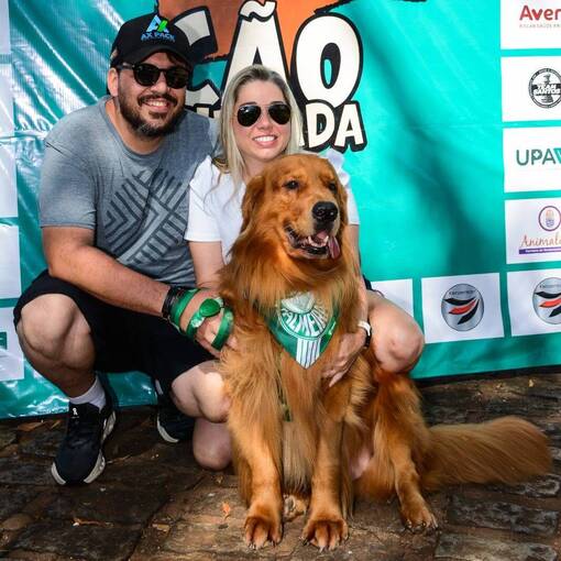 Portada del evento 3 Comimhada - Mato  | 2025 