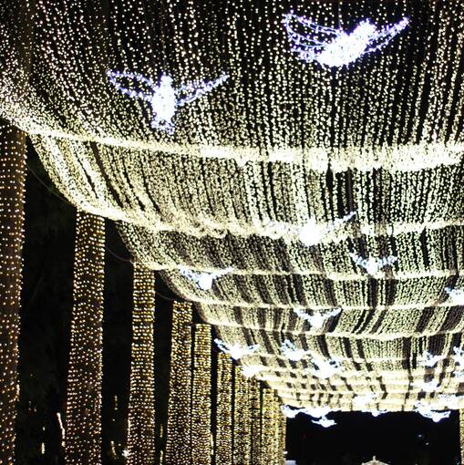 Event cover NATAL PRA�A DA LIBERDADE QUARTA FEIRA 05/12 