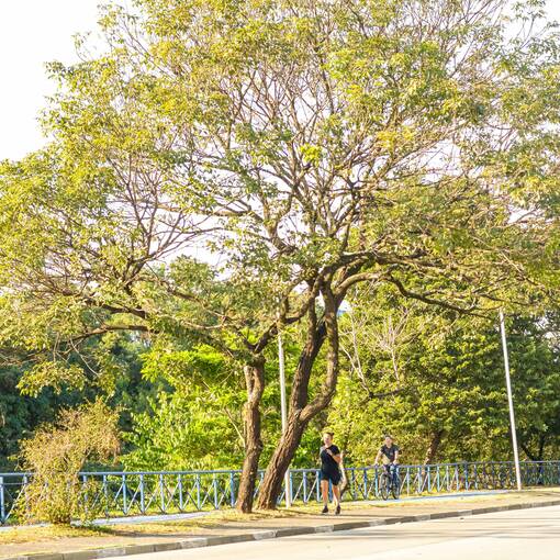 Event cover Marginal Dom Aguirre Sorocaba - s�bado