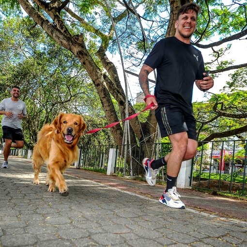 Portada del evento Treino Friburgo - Domingo (Avenida)