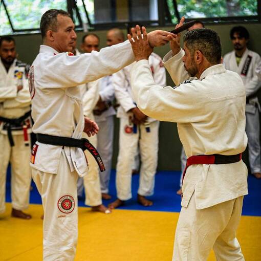 Event cover EXAME DE FAIXA PRETA E CONCESSO DE GRAU - LBJJ