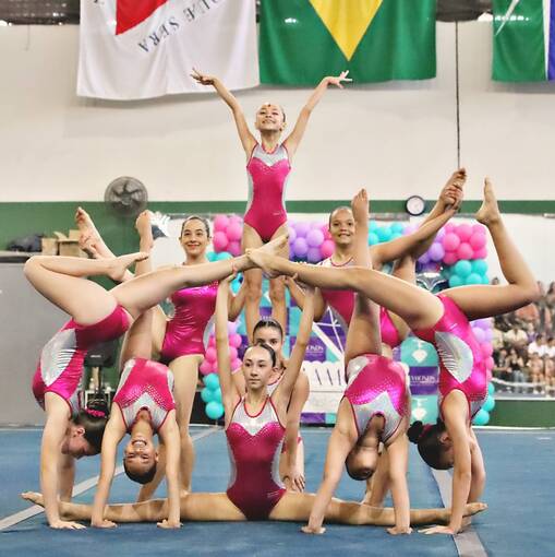 Event cover FESTIVAL DIAMONDS GIN�STICA ART�STICA - (TARDE * 2025)