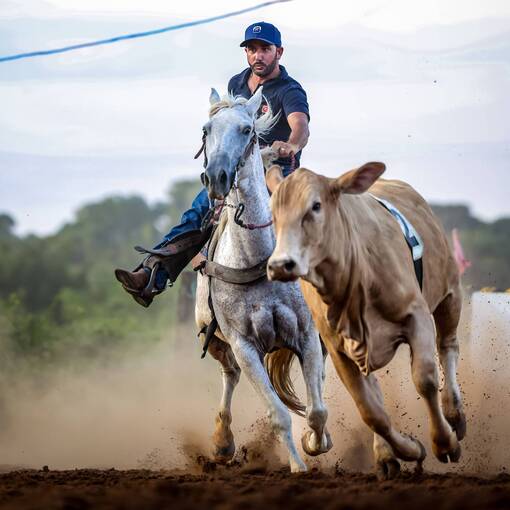Capa do evento Team Penning: Aniversario do Diguinho