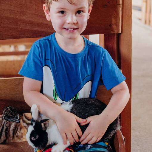 Event cover Criat�rio Pestana - Almo�o