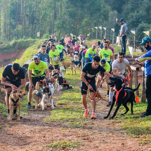 Capa do evento 3� Campeonato Brasileiro de Canicross ABCAES *23 e 24/05*