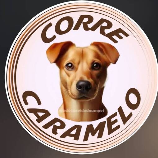 Event cover Meus Treinos  -  Corre Caramelo