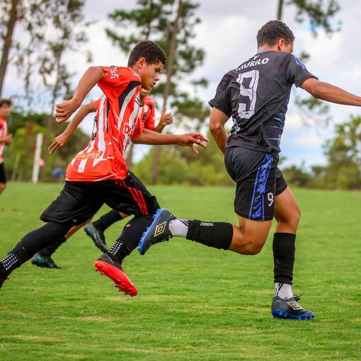 Event cover RUBROS X LION - S14 - COPA NAC LECAB