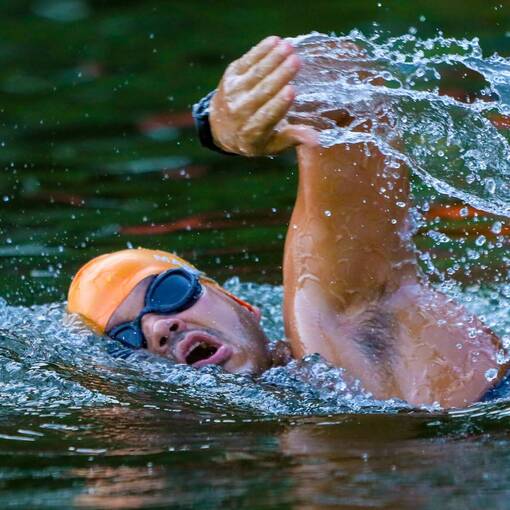 Event cover Simulado de Nata��o CT Sieburth Swin *08/03*