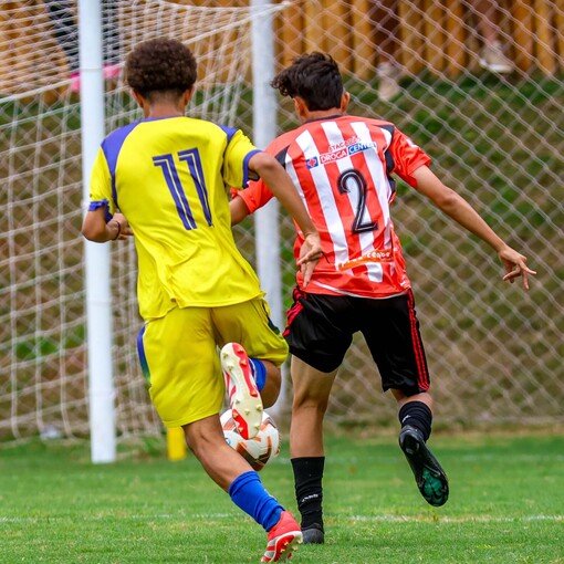 Capa do evento RUBROS X BFA - S14 - COPA NAC LECAB