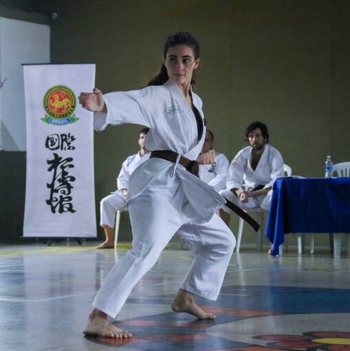 Event cover INDIVIDUAIS - Exame de faixa Kenshinkan 