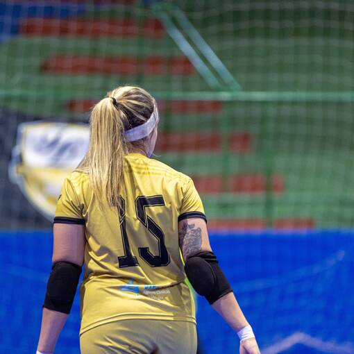 Event cover Final Alterosa Feminino