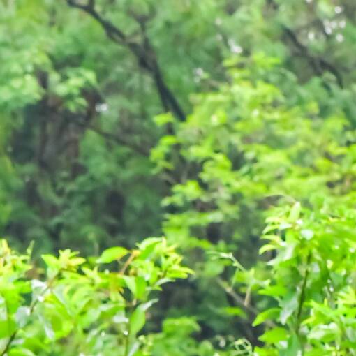 Event cover Treino Marginal Dom Aguirre Sorocaba Domingo