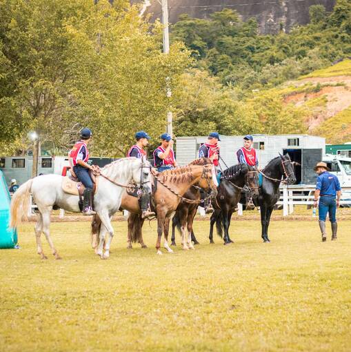 Copertura dell'evento 7� Copa de Marcha Haras Santo Graal