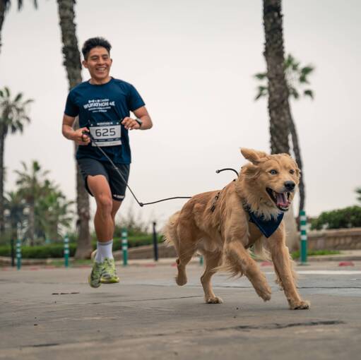 Event cover WUFATHON 4K - 2025