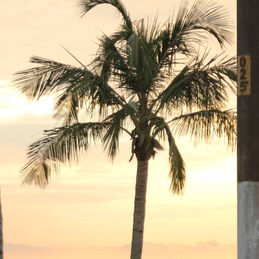 Event cover Treino  Bertioga 