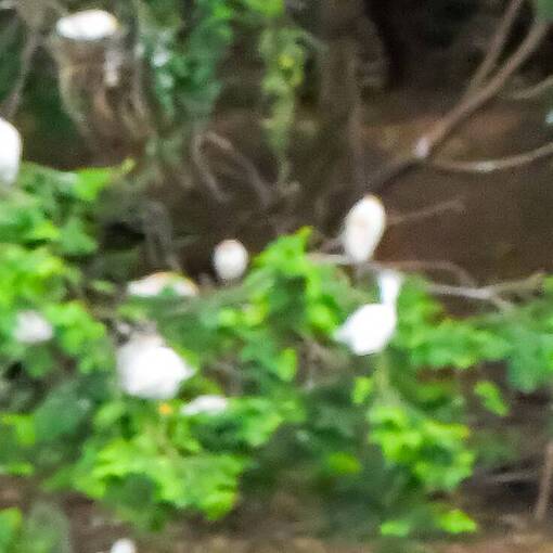 Event cover Parque Dom Quixote Quinta Manh�