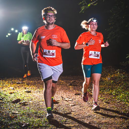Capa do evento Desafio da Floresta 2026 - S�bado