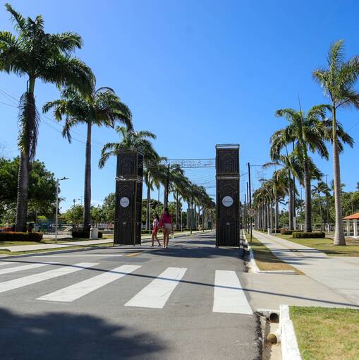 Portada del evento FOTOP no Parque da Sementeira - MANH� - 20-12-2025