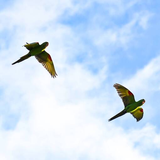 Event cover Marginal Dom Aguirre Sorocaba - DOMINGO